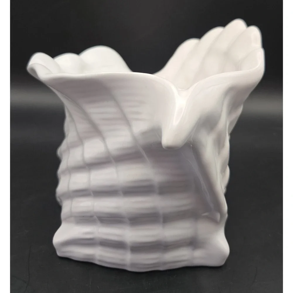 Pereias rare conch